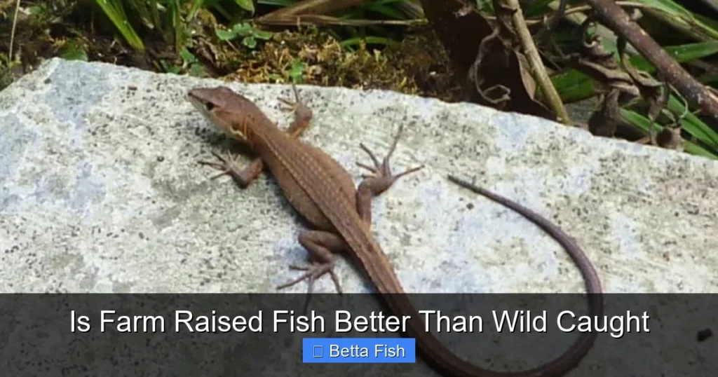 Is Farm Raised Fish Better Than Wild Caught