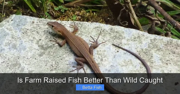 Is Farm Raised Fish Better Than Wild Caught