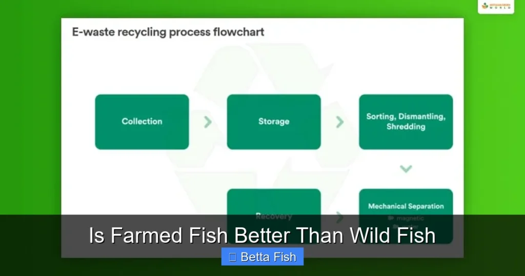 Is Farmed Fish Better Than Wild Fish