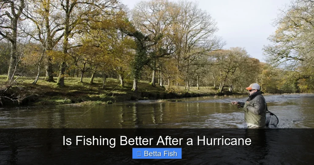 Is Fishing Better After a Hurricane