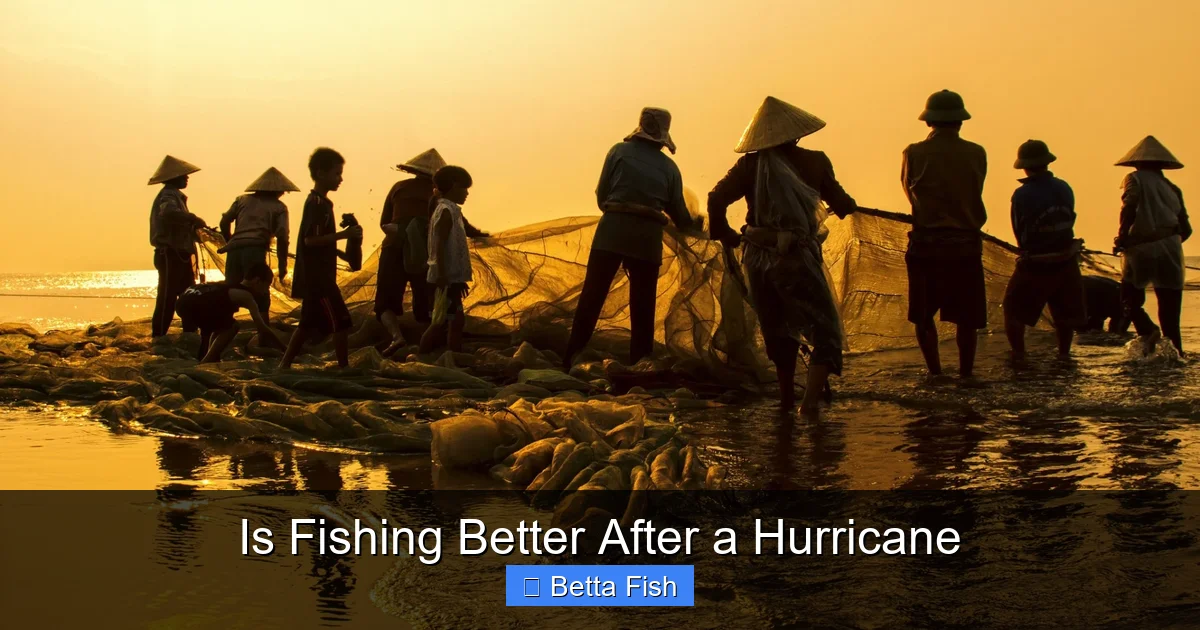 Is Fishing Better After a Hurricane