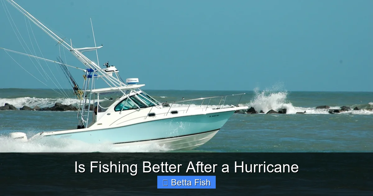 Is Fishing Better After a Hurricane