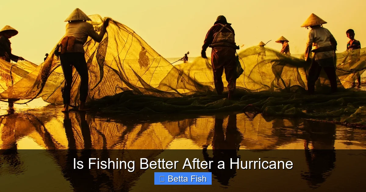 Is Fishing Better After a Hurricane