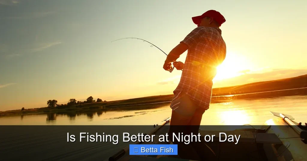 Is Fishing Better at Night or Day