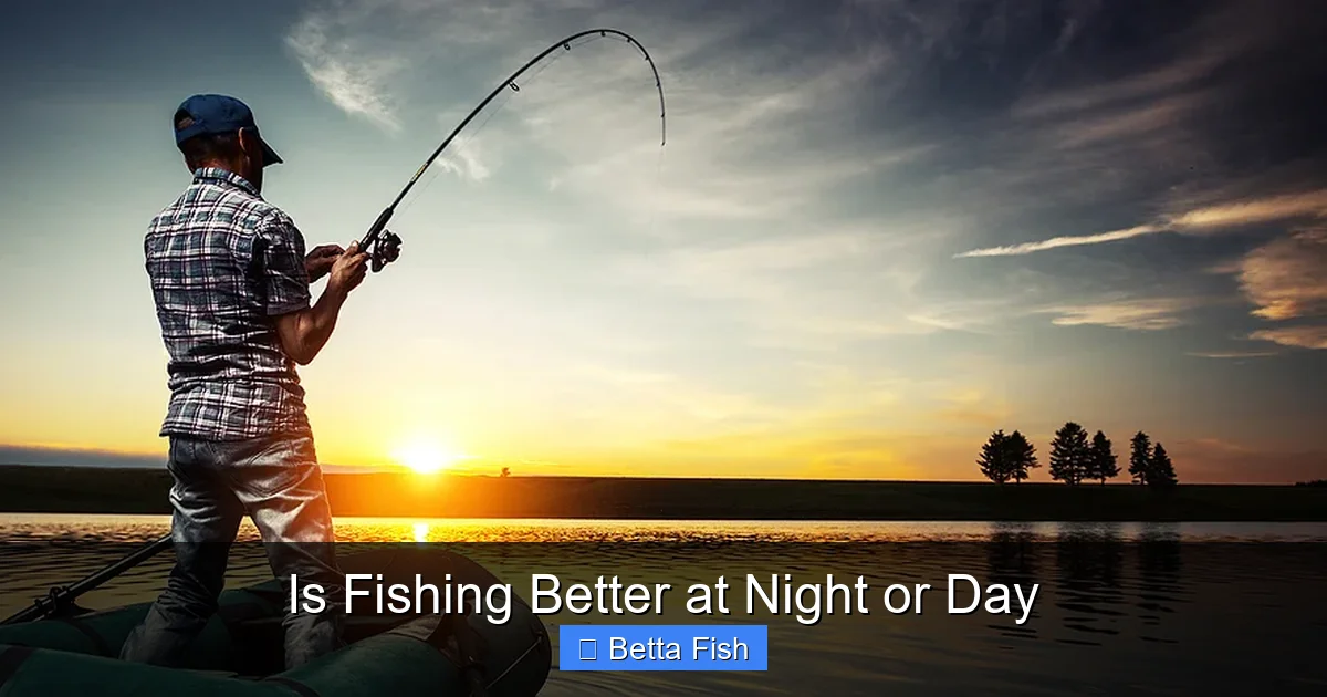 Is Fishing Better at Night or Day