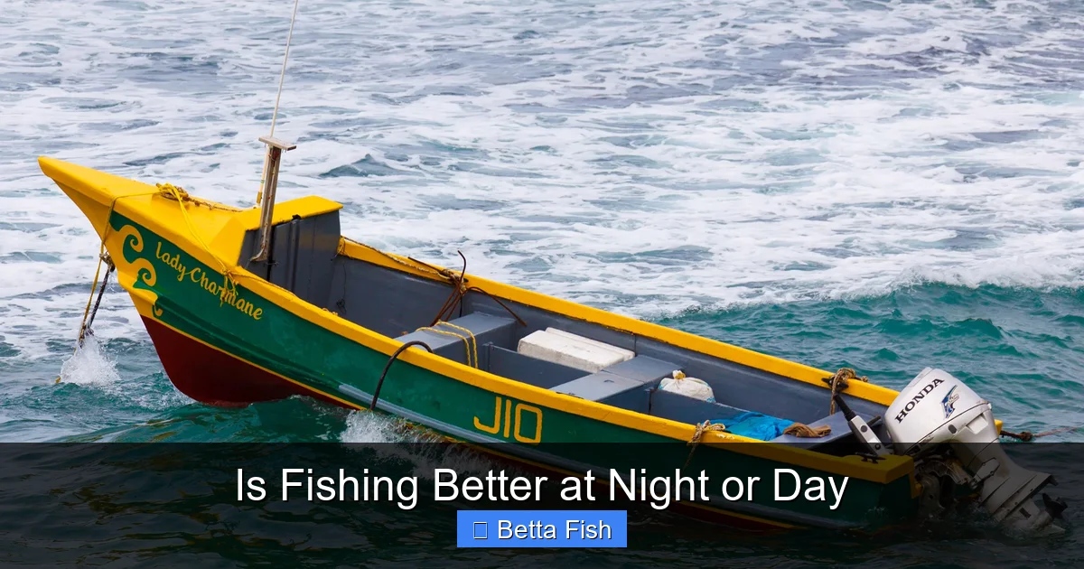 Is Fishing Better at Night or Day