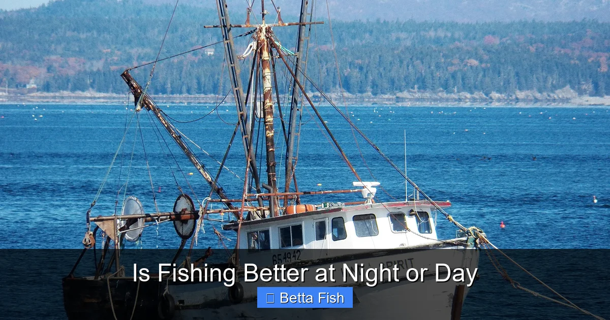 Is Fishing Better at Night or Day