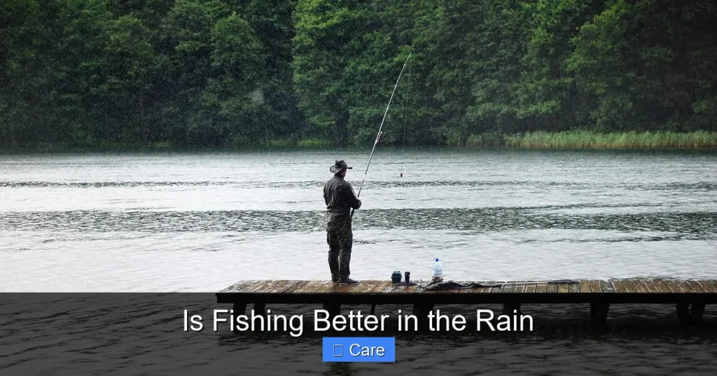 Is Fishing Better in the Rain