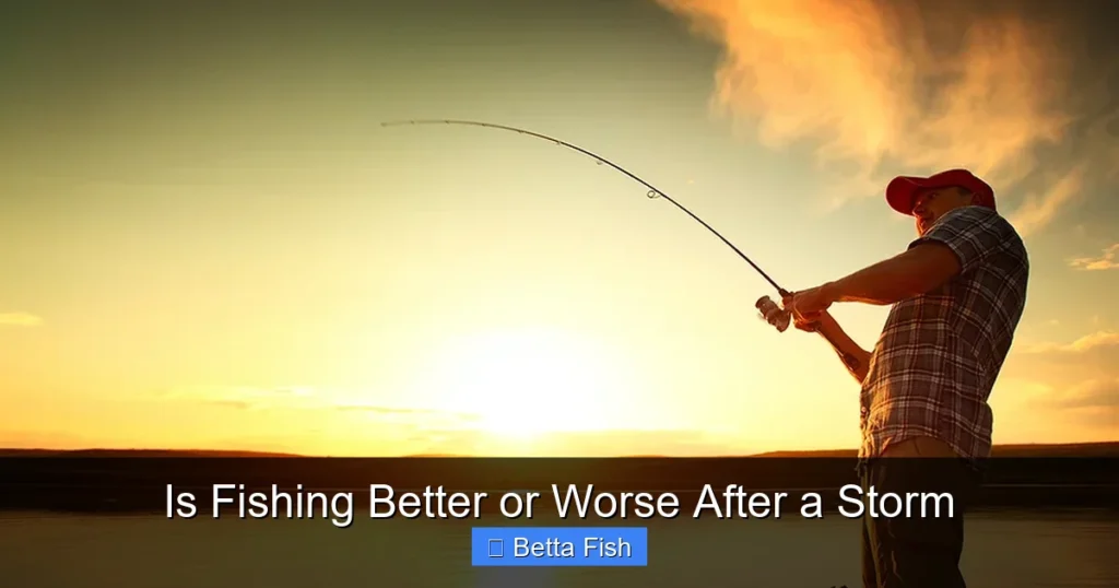 Is Fishing Better or Worse After a Storm