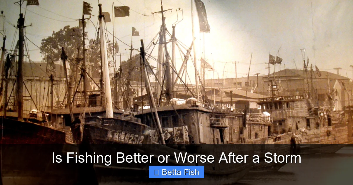 Is Fishing Better or Worse After a Storm