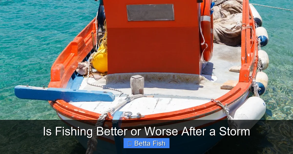 Is Fishing Better or Worse After a Storm
