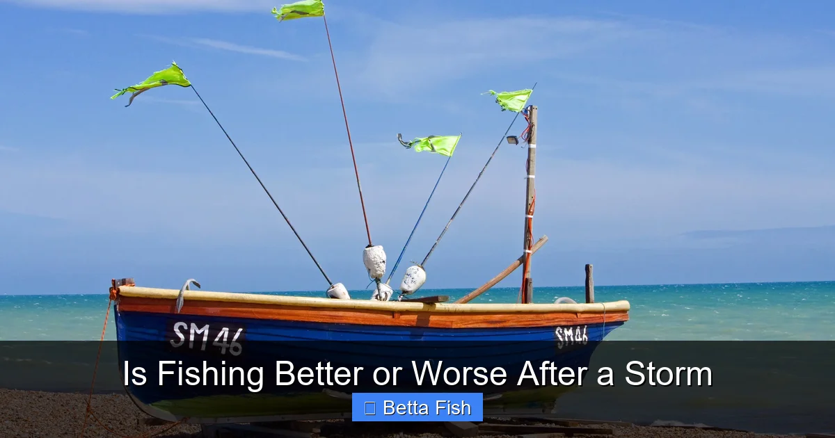Is Fishing Better or Worse After a Storm