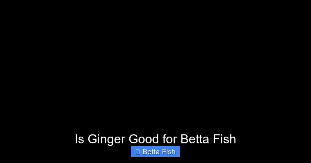 Is Ginger Good for Betta Fish