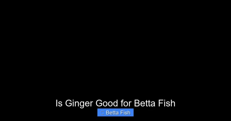 Is Ginger Good for Betta Fish