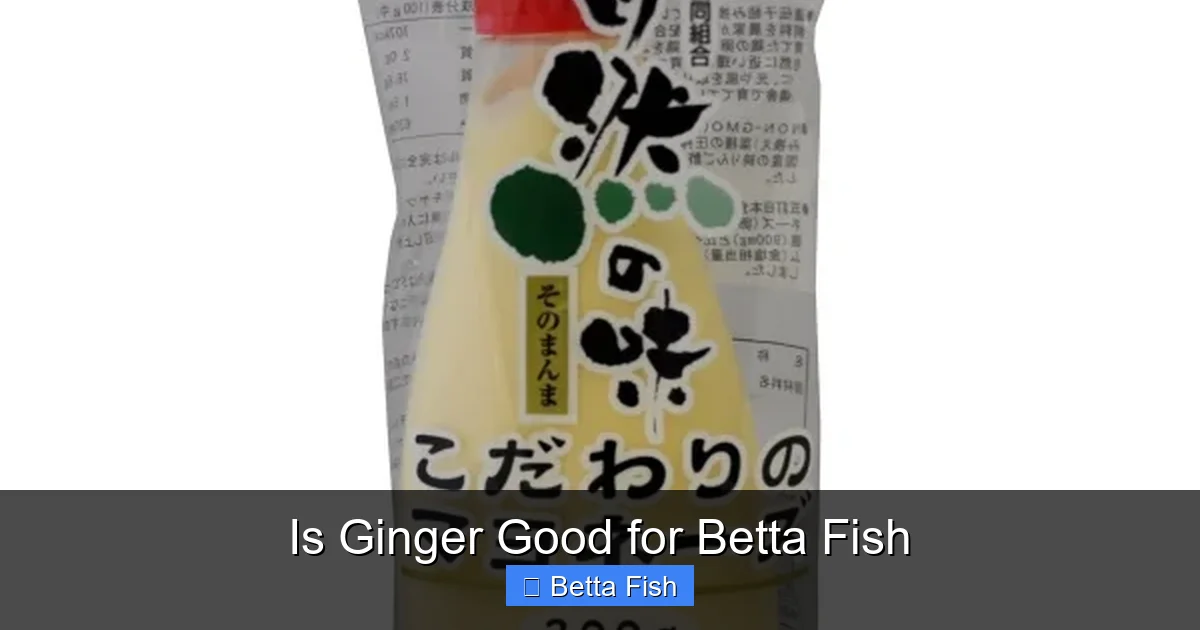 Is Ginger Good for Betta Fish