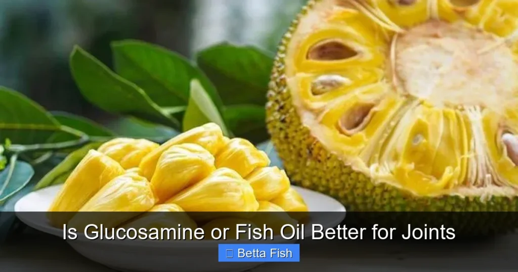 Is Glucosamine or Fish Oil Better for Joints