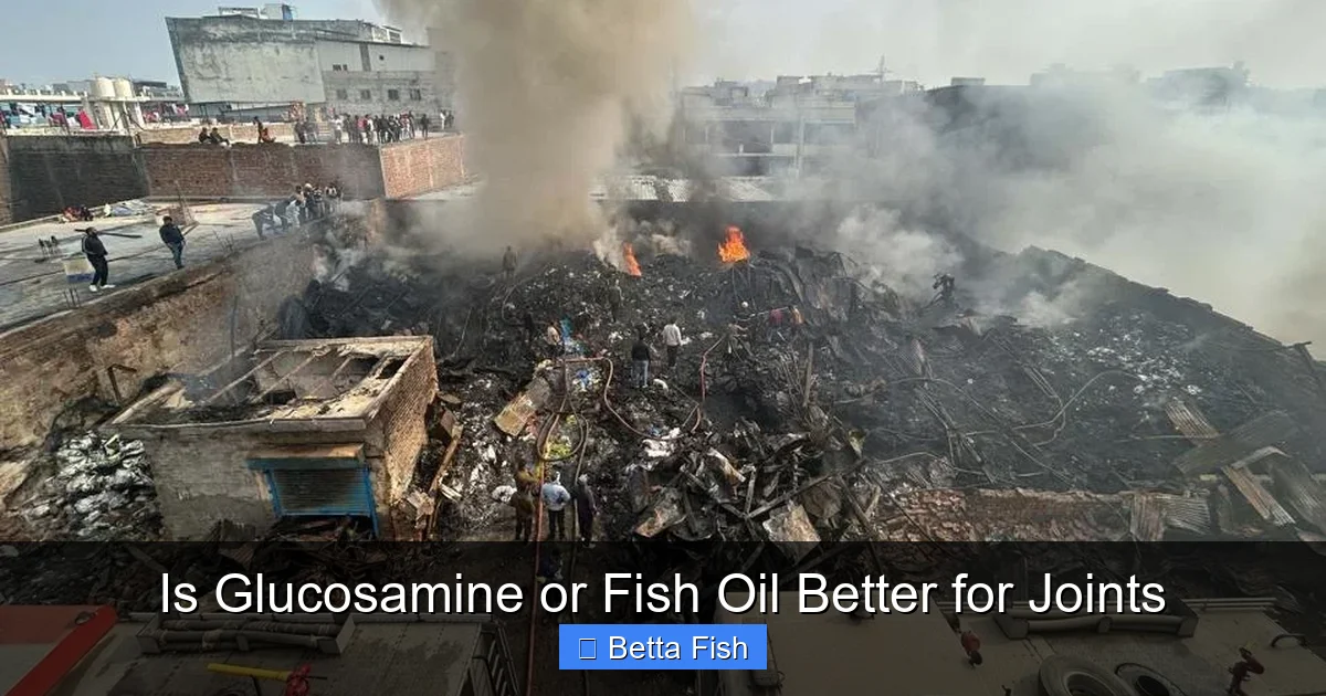 Is Glucosamine or Fish Oil Better for Joints