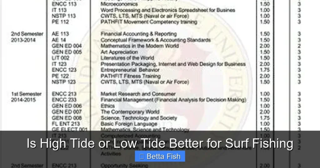 Is High Tide or Low Tide Better for Surf Fishing