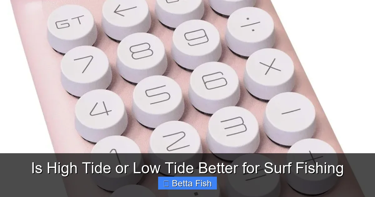 Is High Tide or Low Tide Better for Surf Fishing