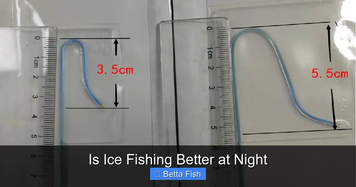 Is Ice Fishing Better at Night