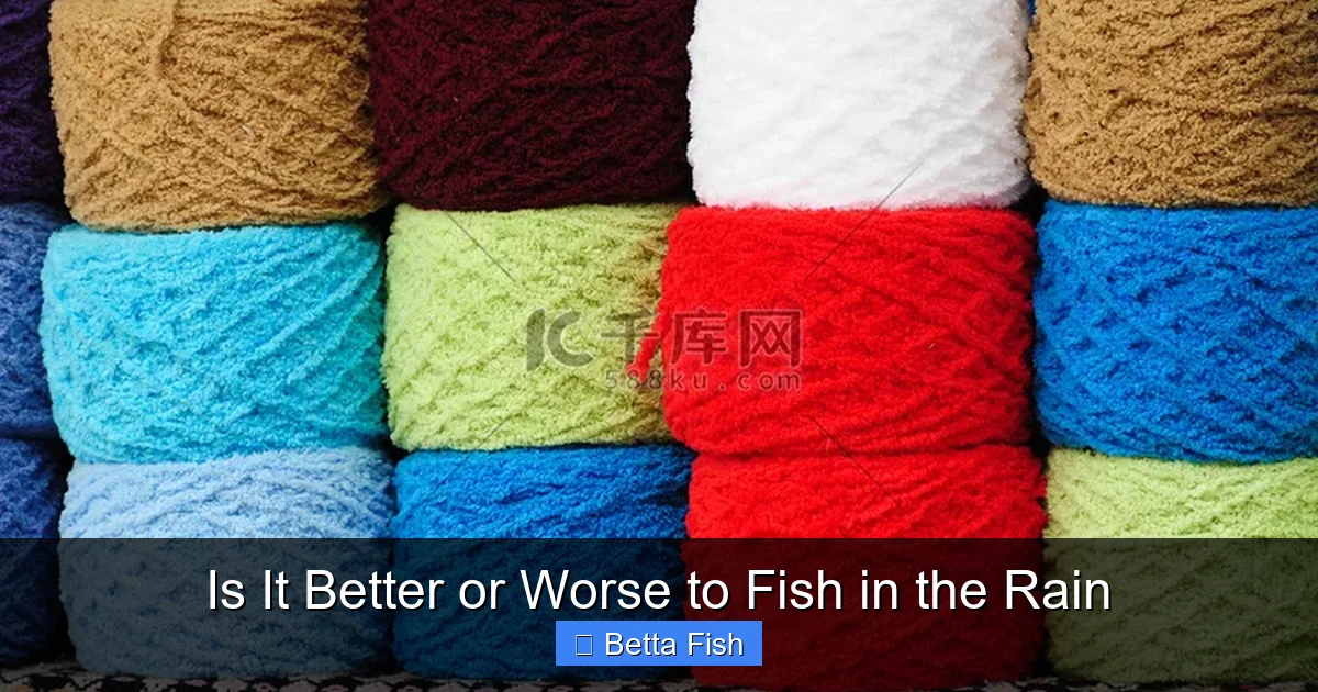 Is It Better or Worse to Fish in the Rain