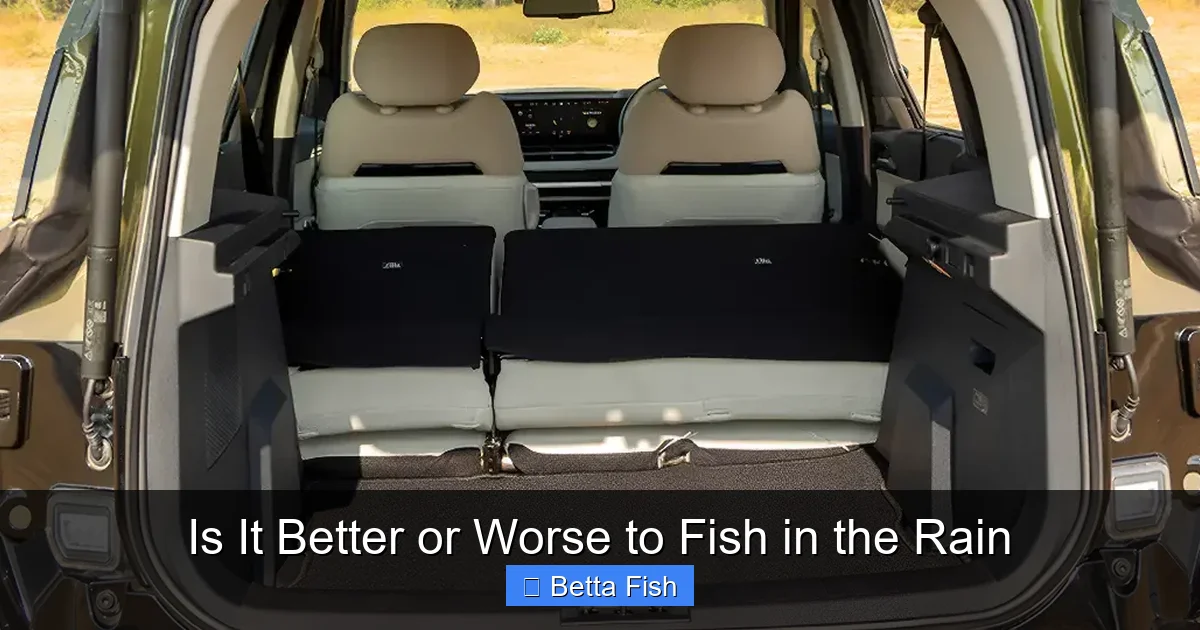 Is It Better or Worse to Fish in the Rain