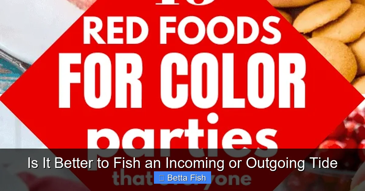 Is It Better to Fish an Incoming or Outgoing Tide