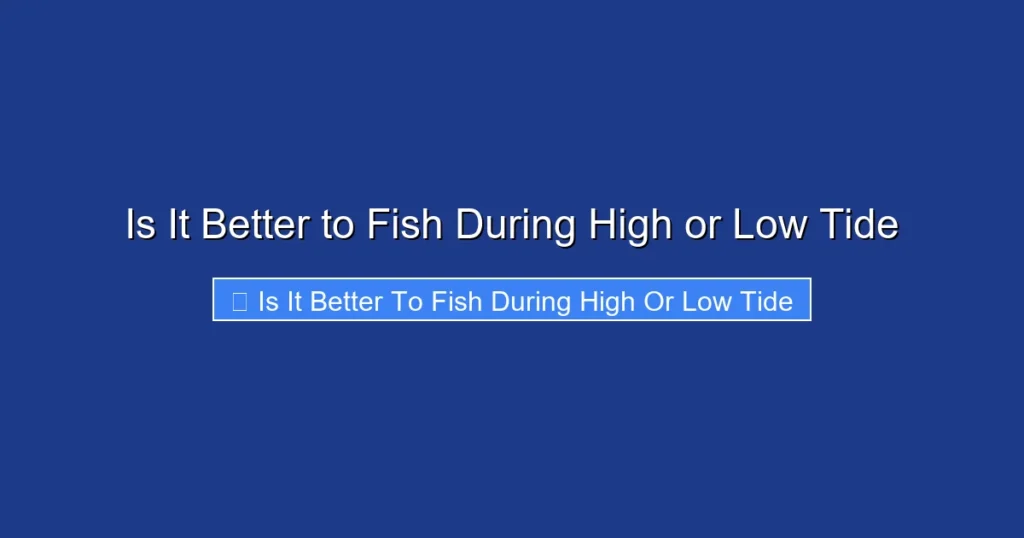 Is It Better to Fish During High or Low Tide