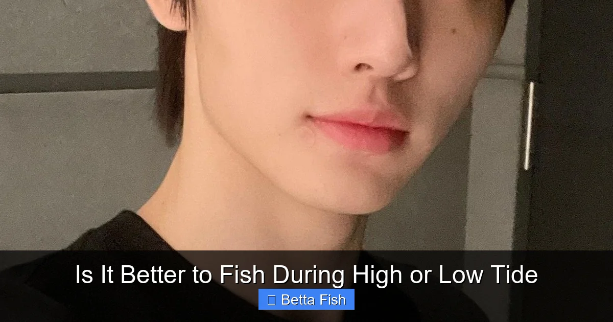 Is It Better to Fish During High or Low Tide