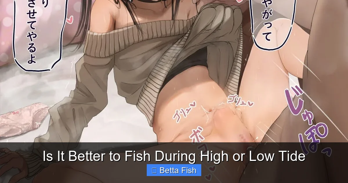 Is It Better to Fish During High or Low Tide