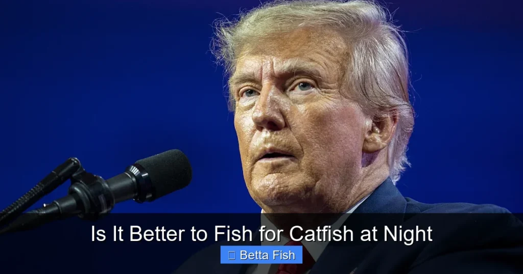 Is It Better to Fish for Catfish at Night