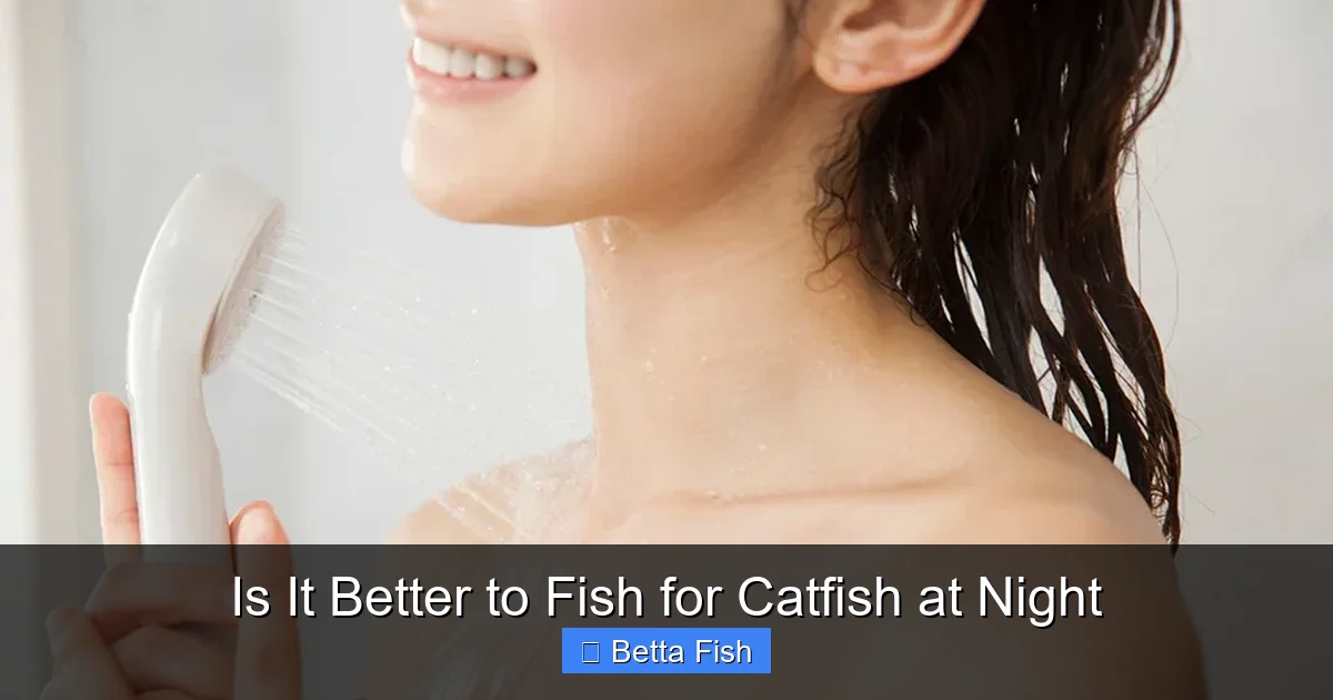 Is It Better to Fish for Catfish at Night