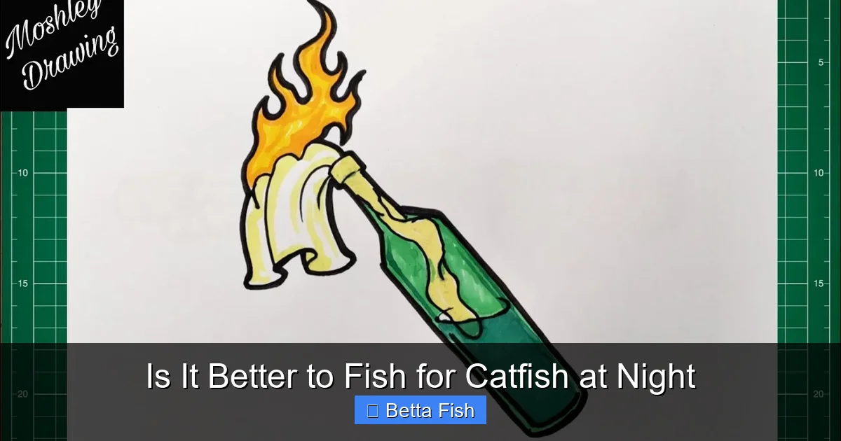 Is It Better to Fish for Catfish at Night