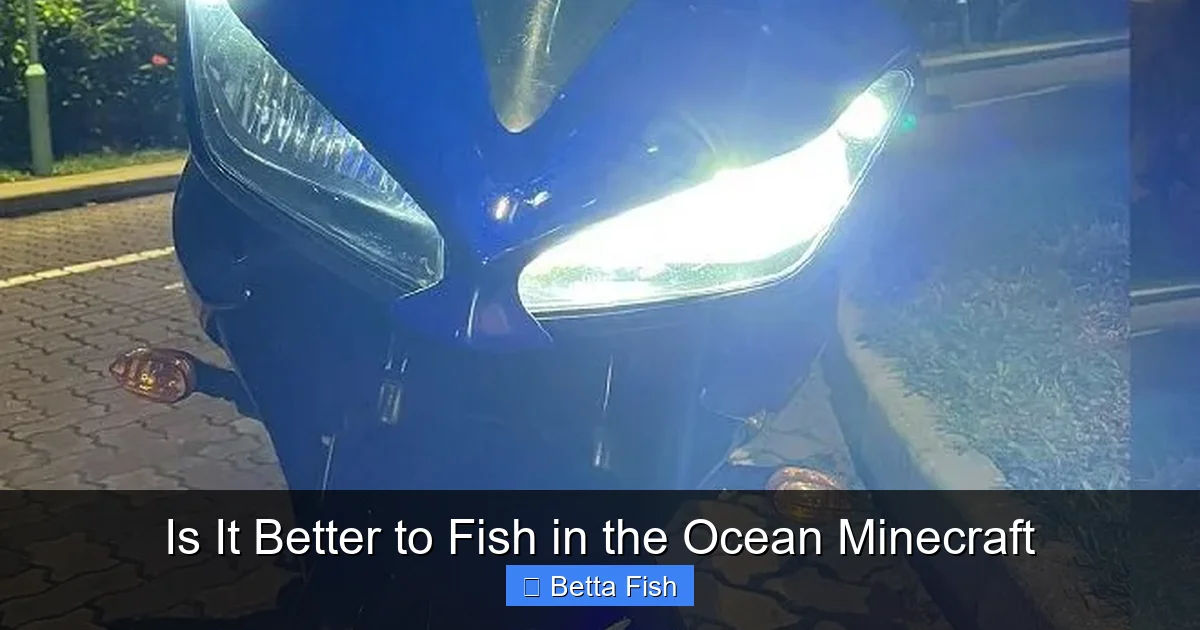 Is It Better to Fish in the Ocean Minecraft