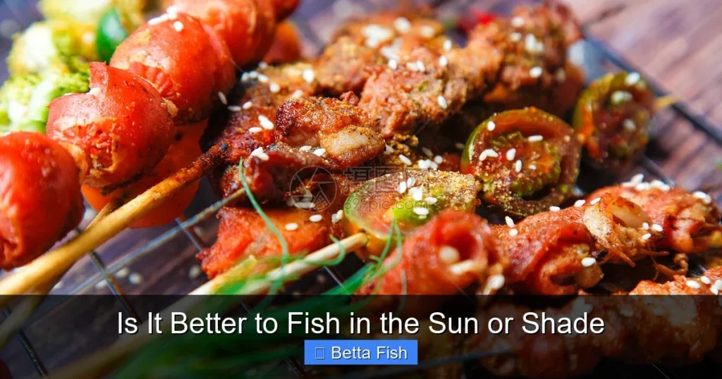 Is It Better to Fish in the Sun or Shade