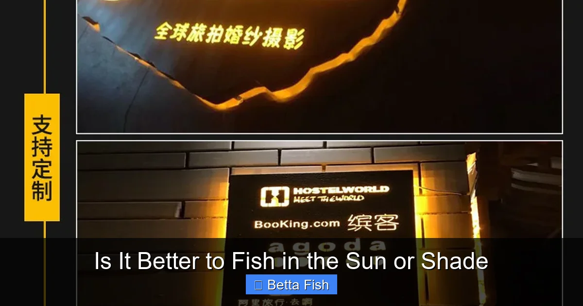 Is It Better to Fish in the Sun or Shade
