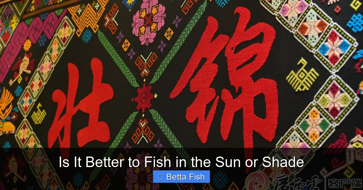 Is It Better to Fish in the Sun or Shade