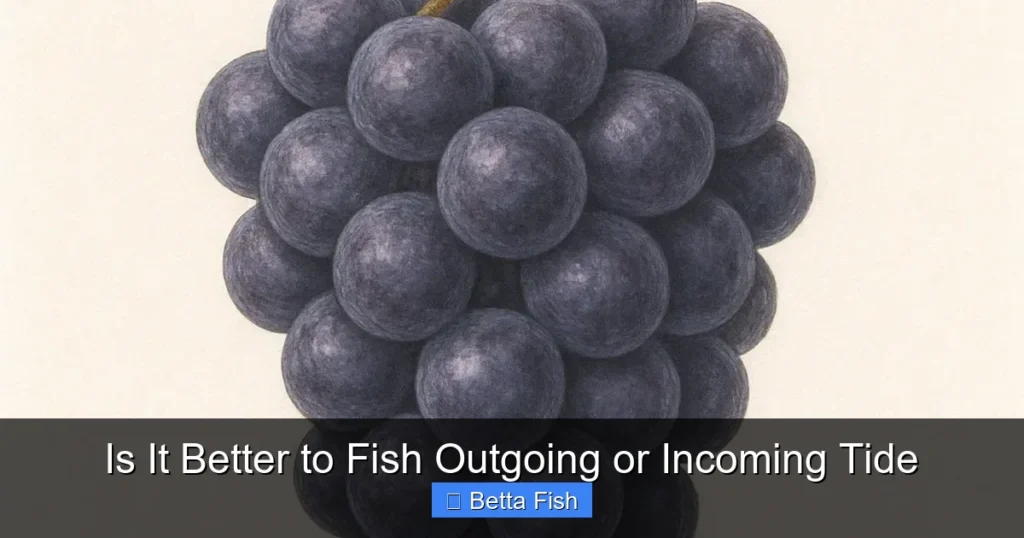 Is It Better to Fish Outgoing or Incoming Tide