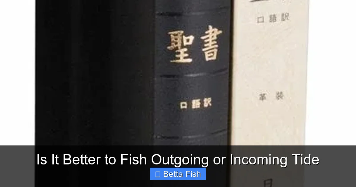 Is It Better to Fish Outgoing or Incoming Tide