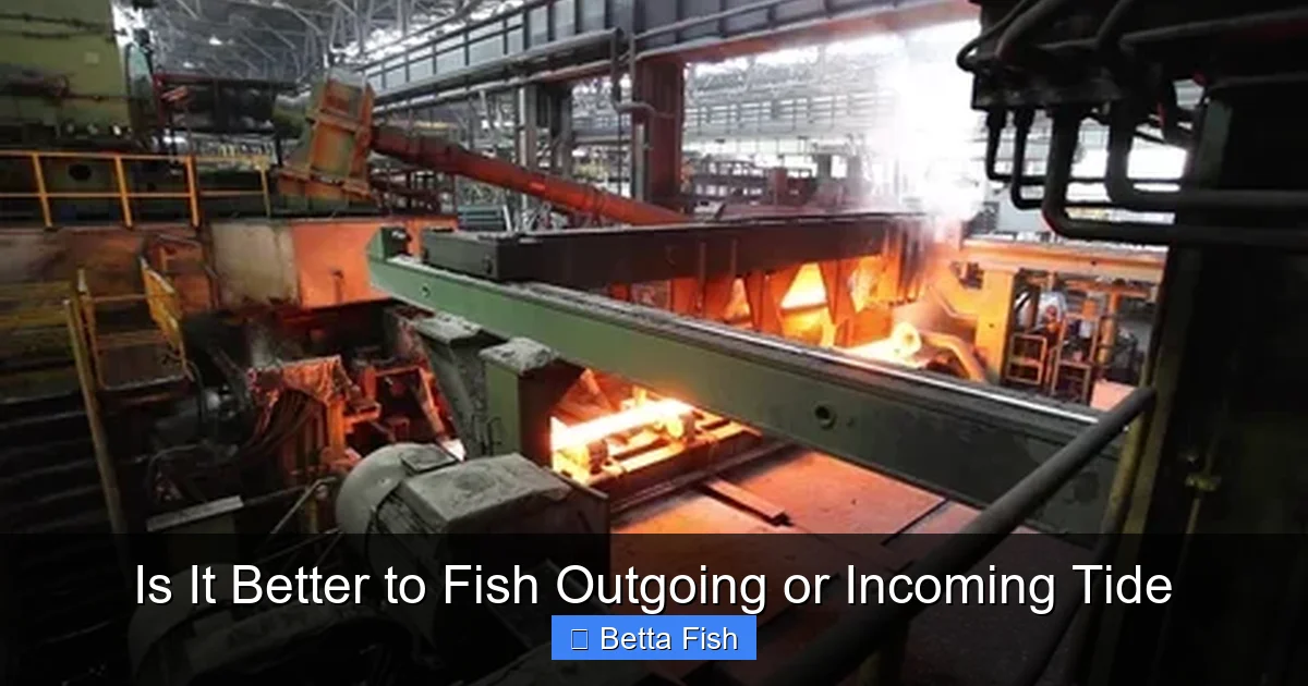 Is It Better to Fish Outgoing or Incoming Tide