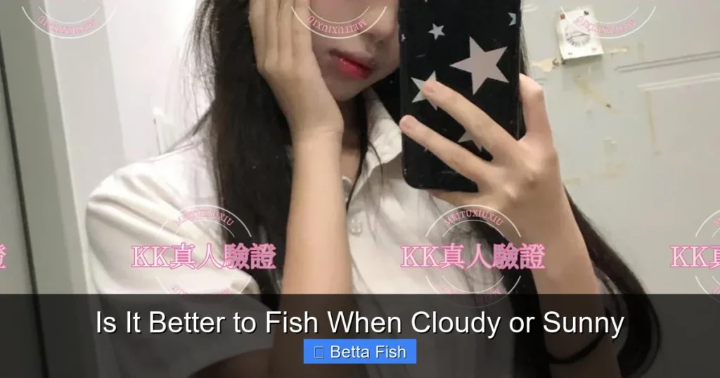 Is It Better to Fish When Cloudy or Sunny
