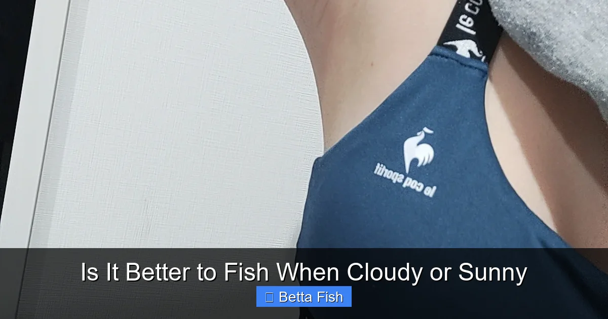 Is It Better to Fish When Cloudy or Sunny