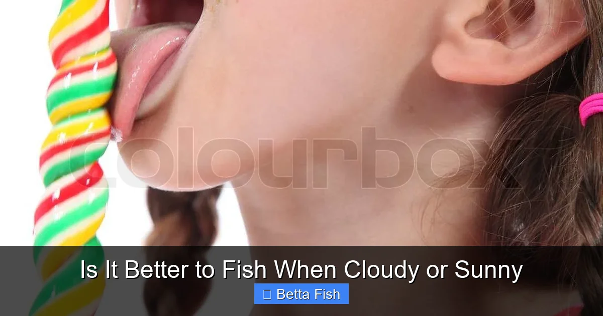 Is It Better to Fish When Cloudy or Sunny