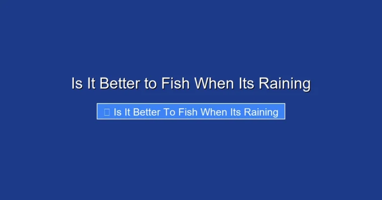Is It Better to Fish When Its Raining