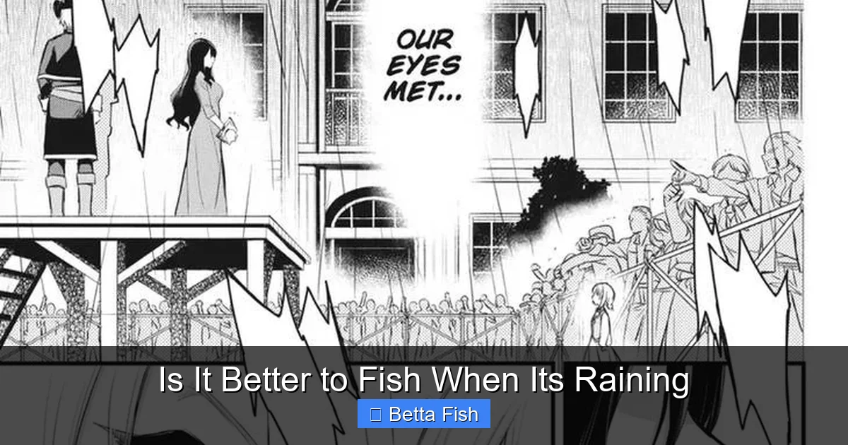 Is It Better to Fish When Its Raining