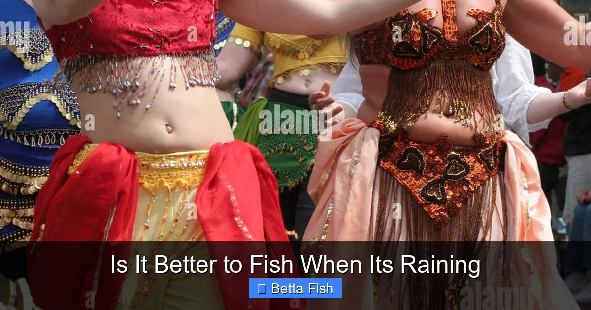 Is It Better to Fish When Its Raining