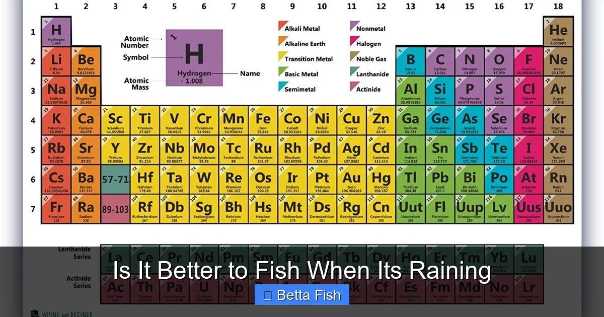 Is It Better to Fish When Its Raining