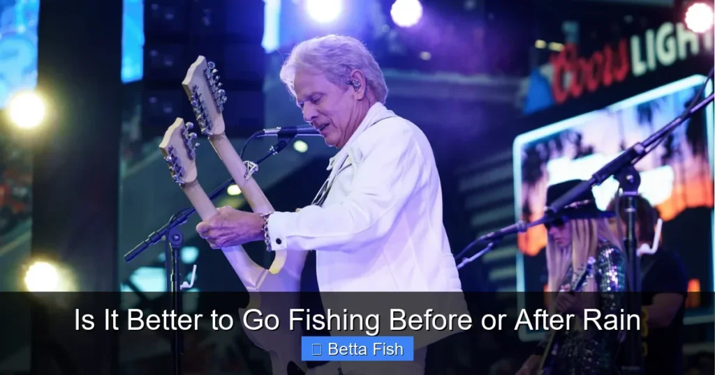 Is It Better to Go Fishing Before or After Rain