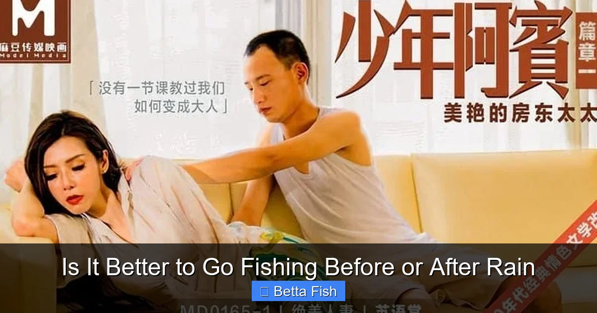 Is It Better to Go Fishing Before or After Rain