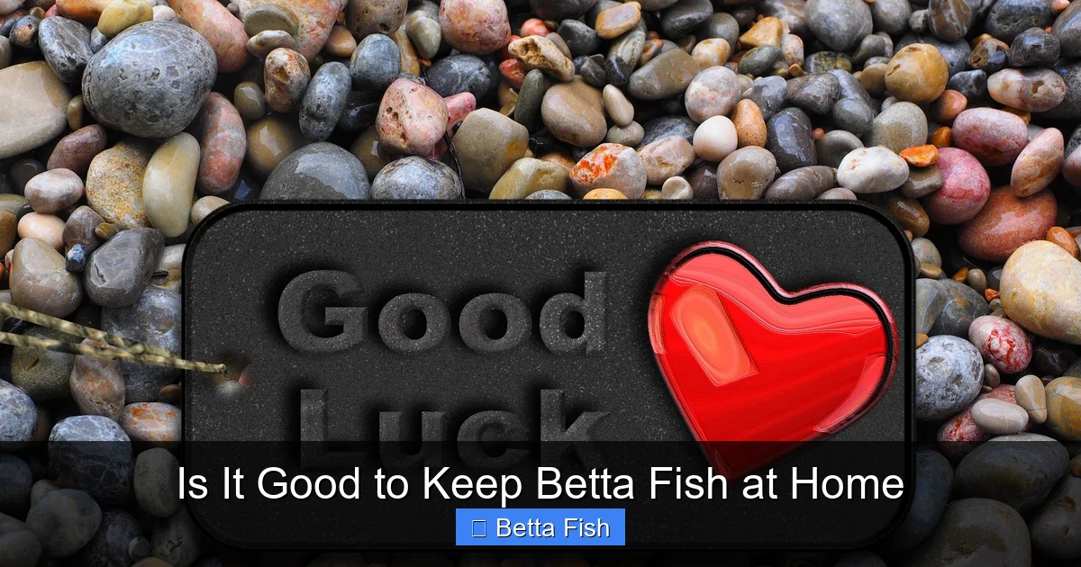 Is It Good to Keep Betta Fish at Home